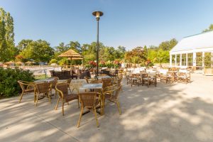 Bar et restauration Parc De Fierbois, camping 5 étoiles en Indre et Loire