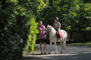 Parc De Fierbois : Poneys (6)