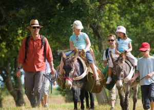 Parc De Fierbois : Balade Anes 640x457