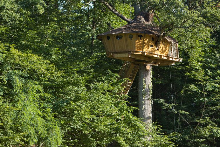 Nuit insolite en Indre et Loire, vue d'une cabane dans les Arbres au Parc de Fierbois