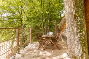 Parc De Fierbois : Cabane Familiale Touraine 