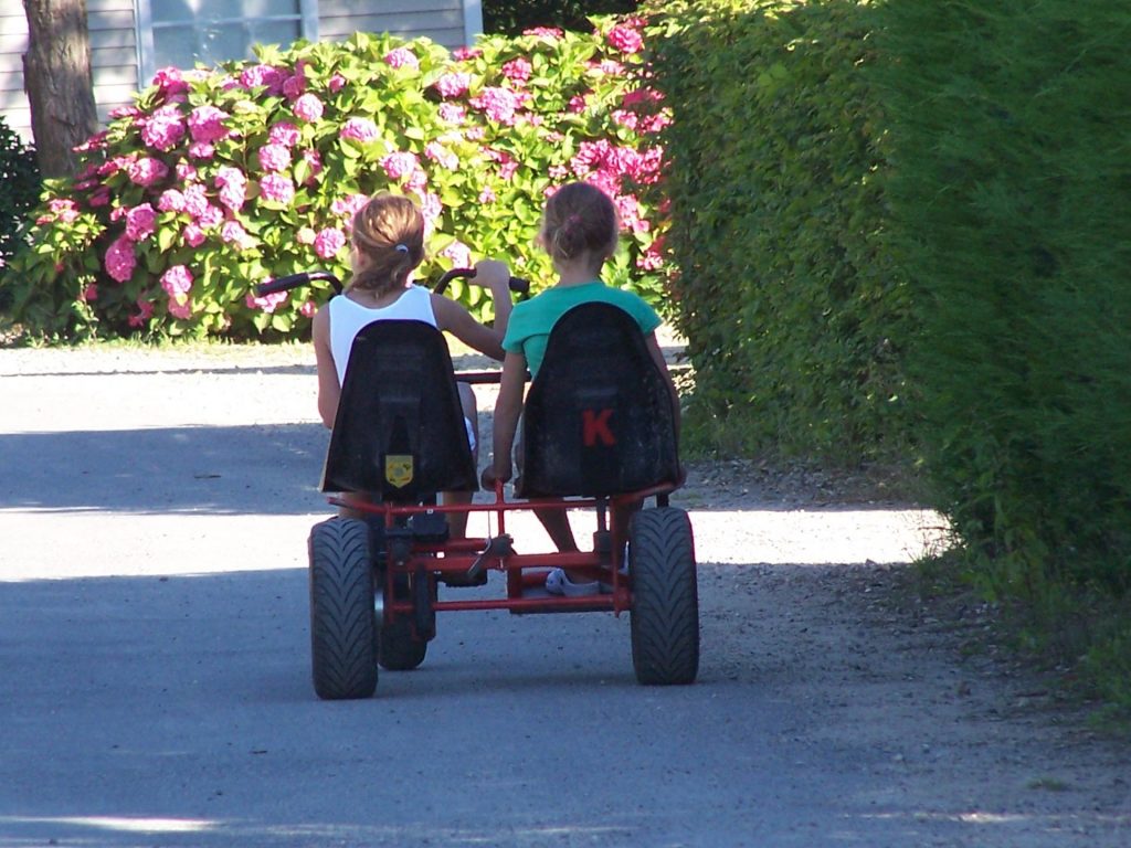 Parc De Fierbois : Kart à Pédales (3)