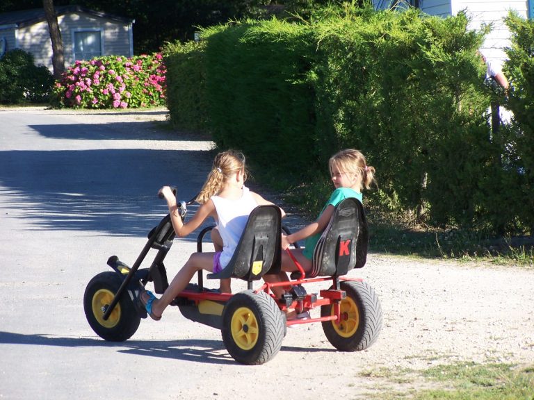 Parc De Fierbois : Kart A Pedales 4