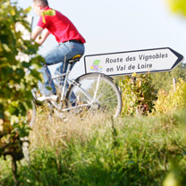 Parc de Fierbois: Route Des Vins