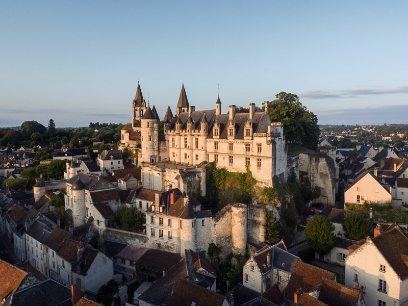 Camping Parc De Fierbois : Chateau Loches en Val de Loire