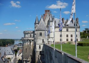 Parc De Fierbois : Camping Amboise