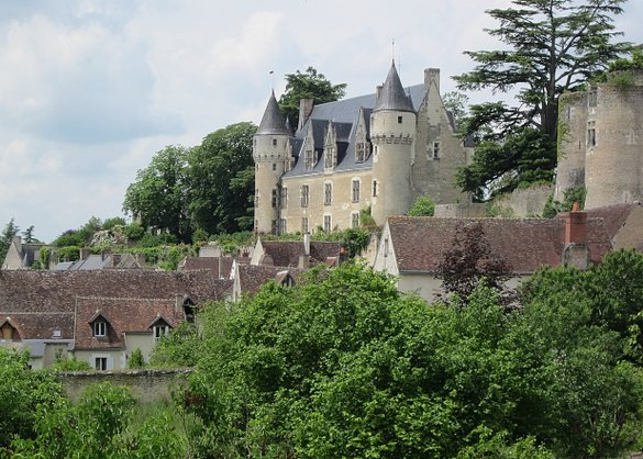 Parc De Fierbois : Chateau De Montresor