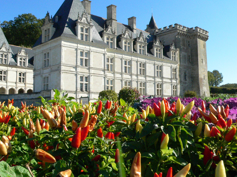 Campingplatz Loire-Schloss Parc De Fierbois: Schloss Villandry