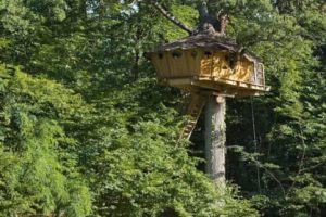 Vue de la cabane dans les arbres en région centre, en indre et loire