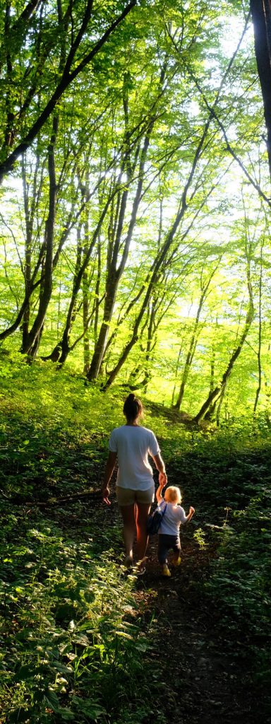 Randonnées autour du Parc De Fierbois, camping près des chateaux de la loire