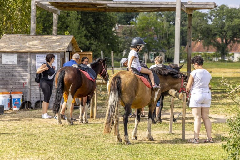 Parc De Fierbois : balade à poney