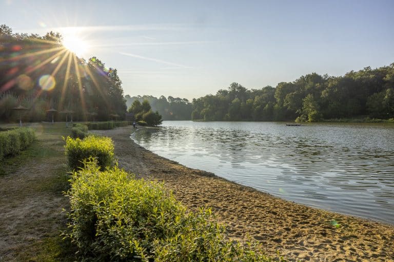 Parc De Fierbois : Le lac