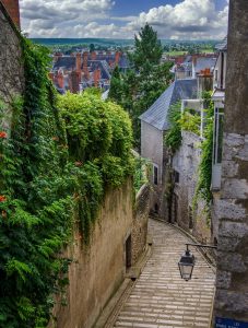 Parc De Fierbois : Alley 4765738 1280