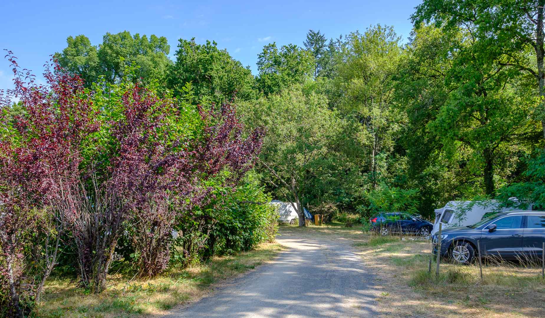 Parc De Fierbois : Parc De Fierbois Sd 35