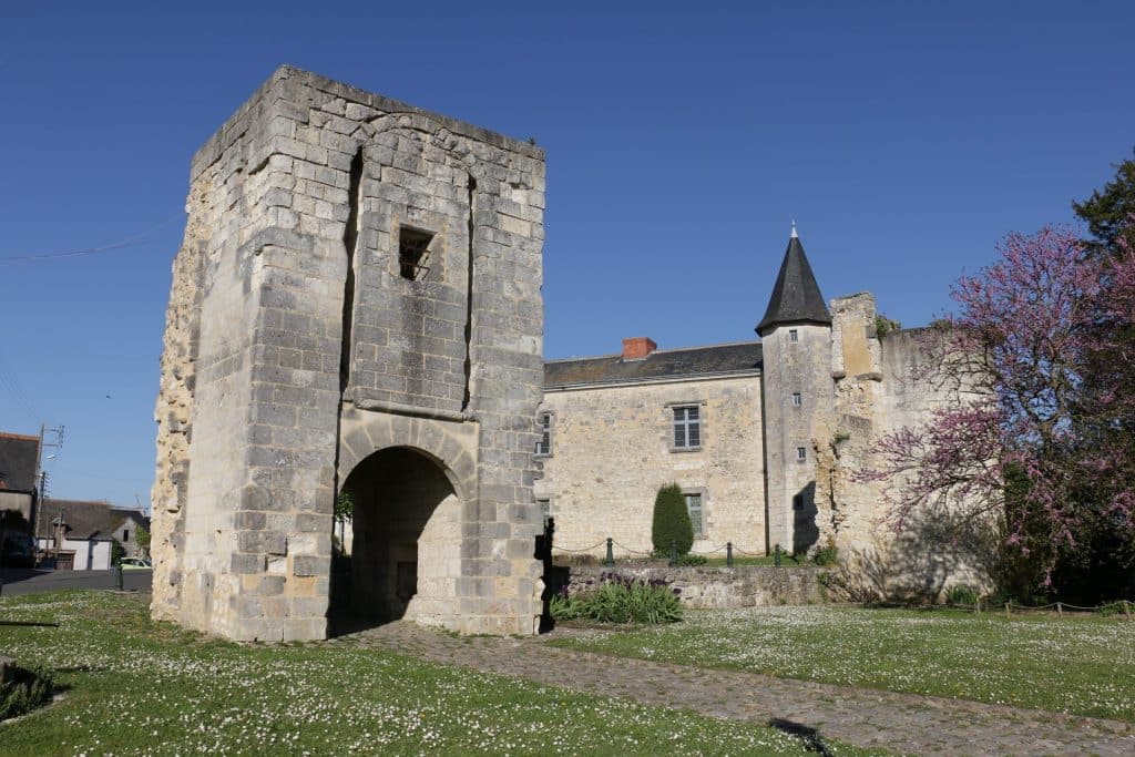 Parc De Fierbois : Chateau Sainte Maure De Touraine