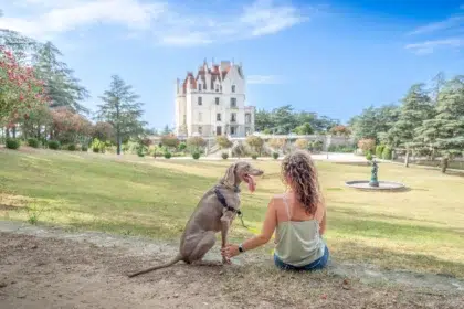 Bringen Sie Ihre vierbeinigen Freunde mit 34 AdobeStock 1099645862