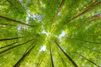 Ce que vous trouverez chez nous 30 AdobeStock 599066294