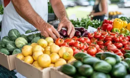 Se Restaurer 32 Marché de fruits et légumes