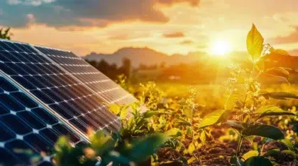 AdobeStock 990472129