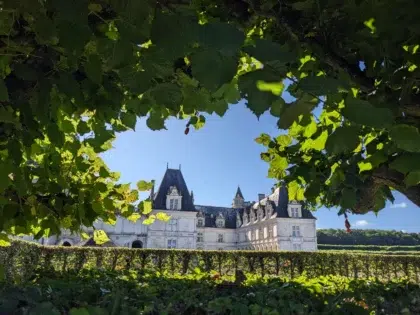 AdobeStock 1052008131