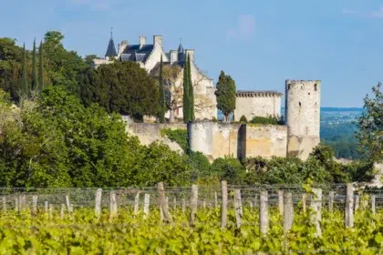 Chinon 33 AdobeStock 348900969