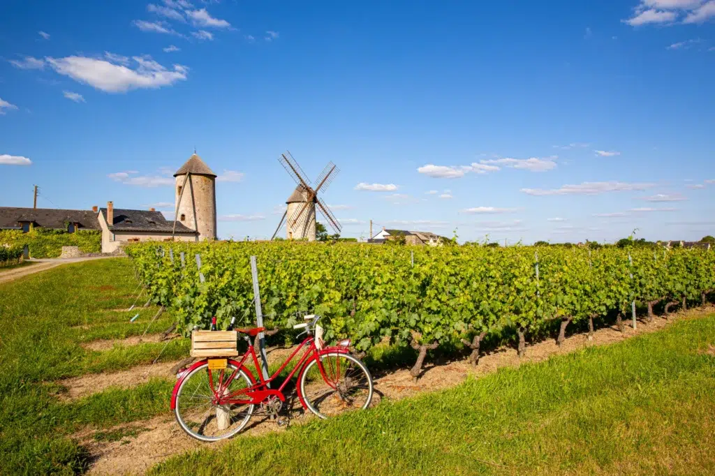 AdobeStock 456921544