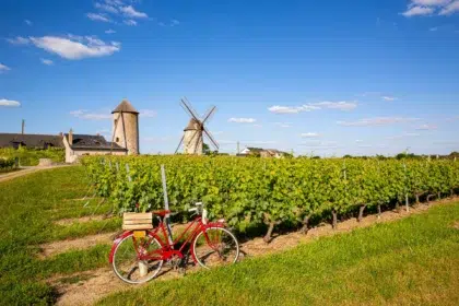 La Loire à Vélo 30 AdobeStock 456921544