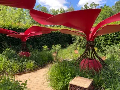 AdobeStock 527050436