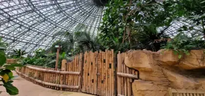 Zoo de Beauval 31 AdobeStock 572760188