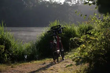 Le Lac 31 sejour le lac 2