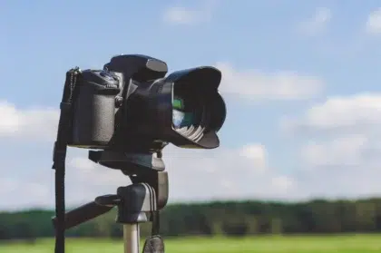 AdobeStock 1466721378