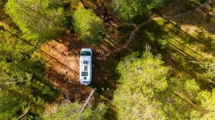 Stationner au vert 31 AdobeStock 886327119